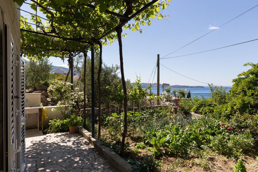 Apartments Olive Млини Экстерьер фото